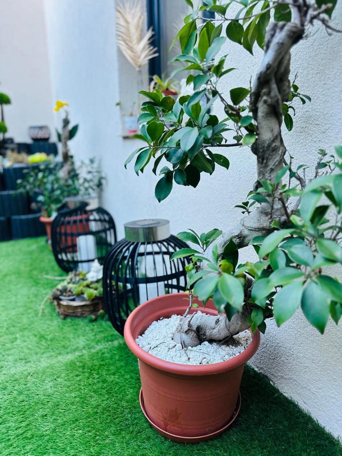 Noblesse Hause Hotel Gammertingen Exterior foto